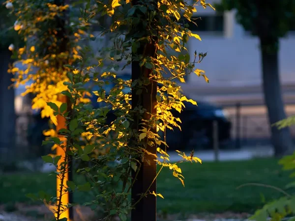 Uplight